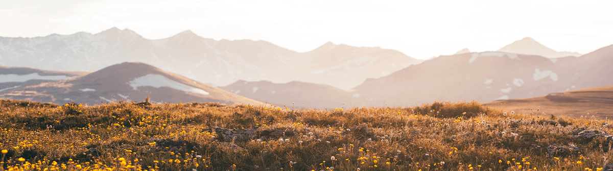 Are You Busy When God Interrupts? 